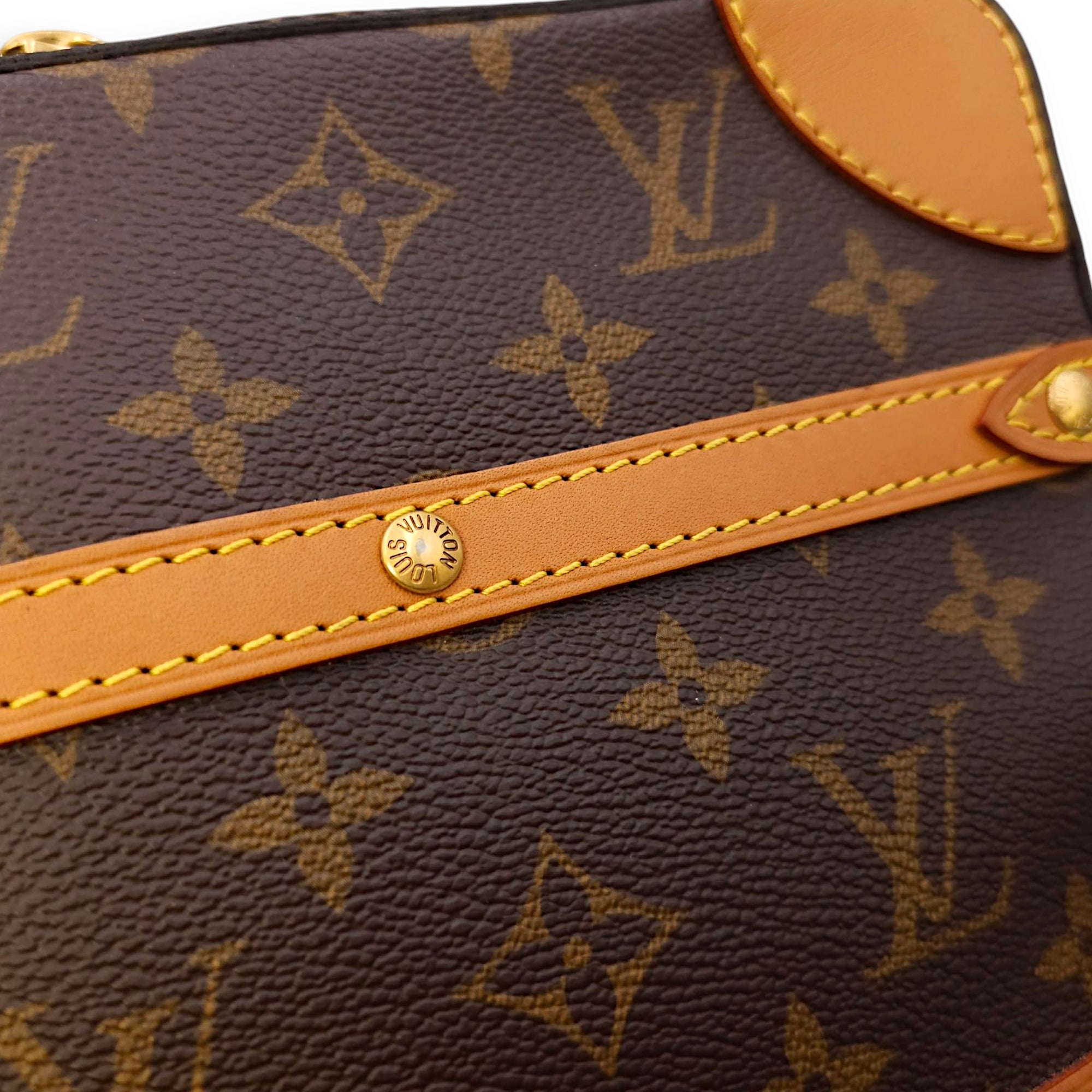 Soft Trunk PM Brown Crossbody Bag in Canvas, Calf, Gold hardware