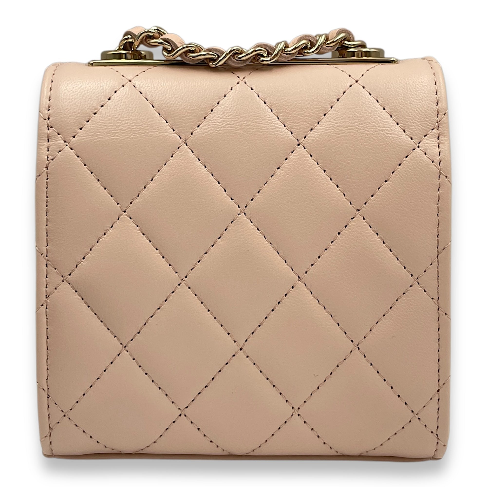 Trendy CC Mini Vanity Others Pastel pink Vanity Bag in Lambskin Gold hardware