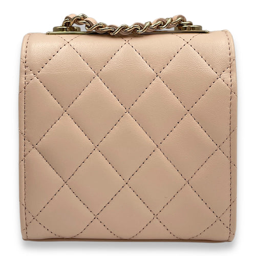Trendy CC Mini Vanity Others Pastel pink Vanity Bag in Lambskin Gold hardware