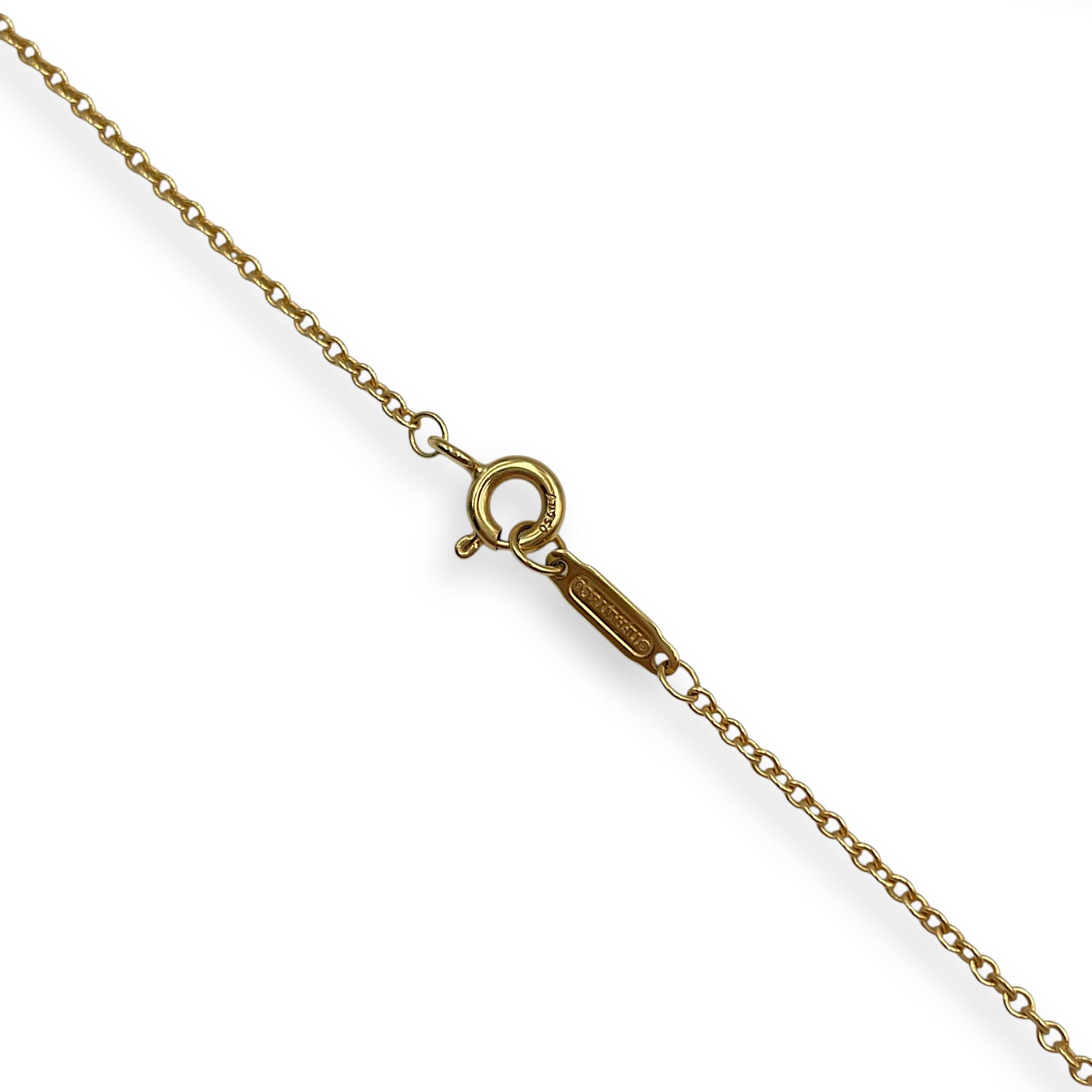 Large Fleur De Lis Key Necklace in Gold Hardware