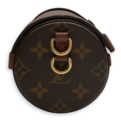 Papillon Trunk  Brown Monogram  Crossbody Bag in Coated Canvas Gold hardware CL2505-12059 3