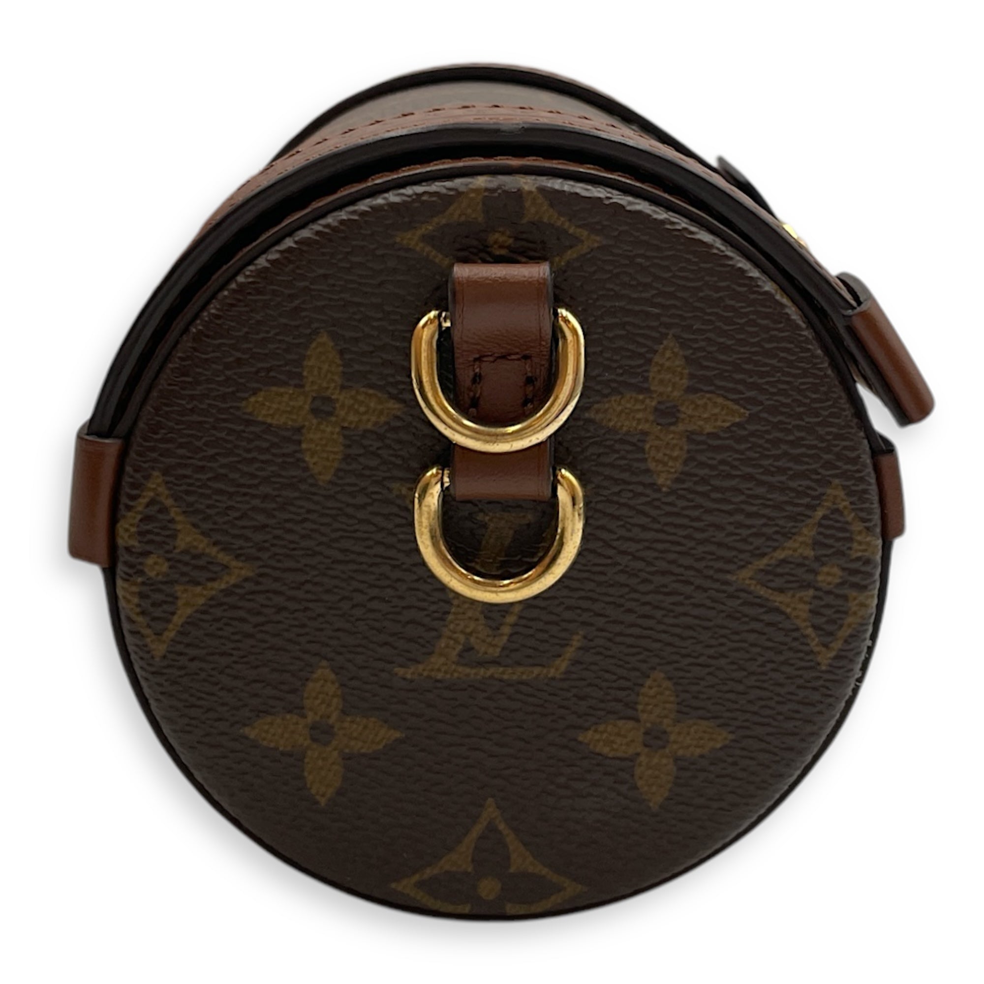 Papillon Trunk Brown Monogram Crossbody Bag in Coated Canvas, Gold hardware