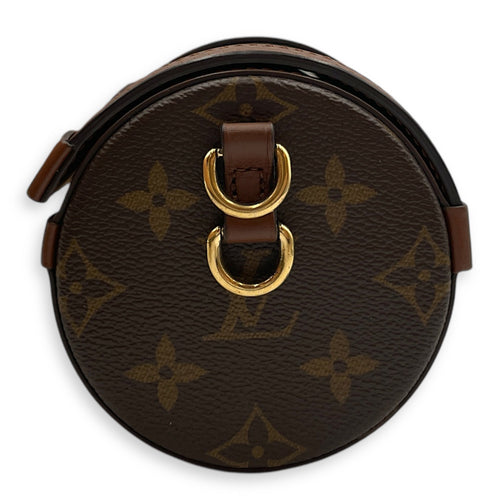 Papillon Trunk  Brown Monogram  Crossbody Bag in Coated Canvas Gold hardware CL2505-12059 4