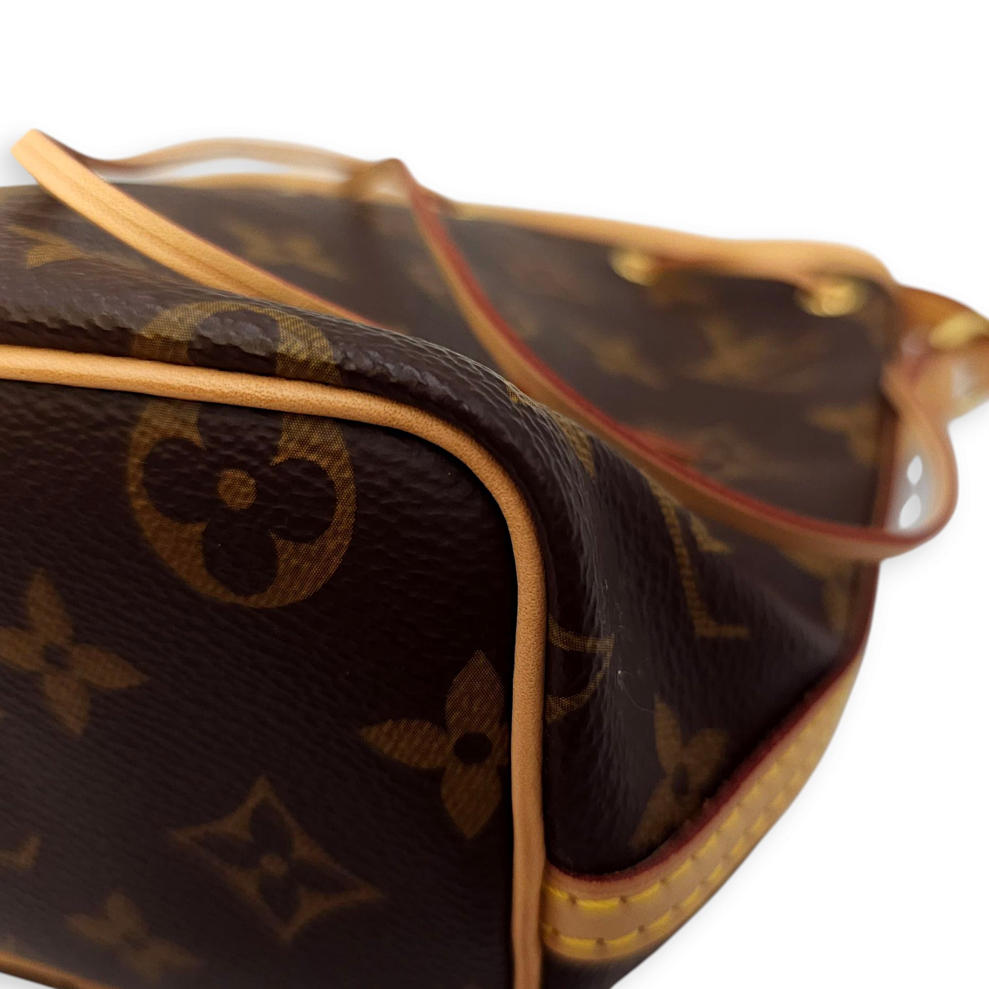 Noe Monogram Petit Bucket Bag in Coated Canvas, Gold hardware