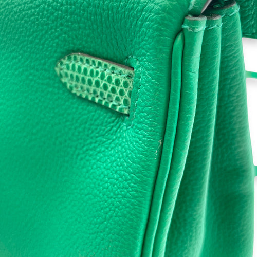 Kelly Touch 25 Menthe in Togo/Lizard Niloticus, Permabrass hardware