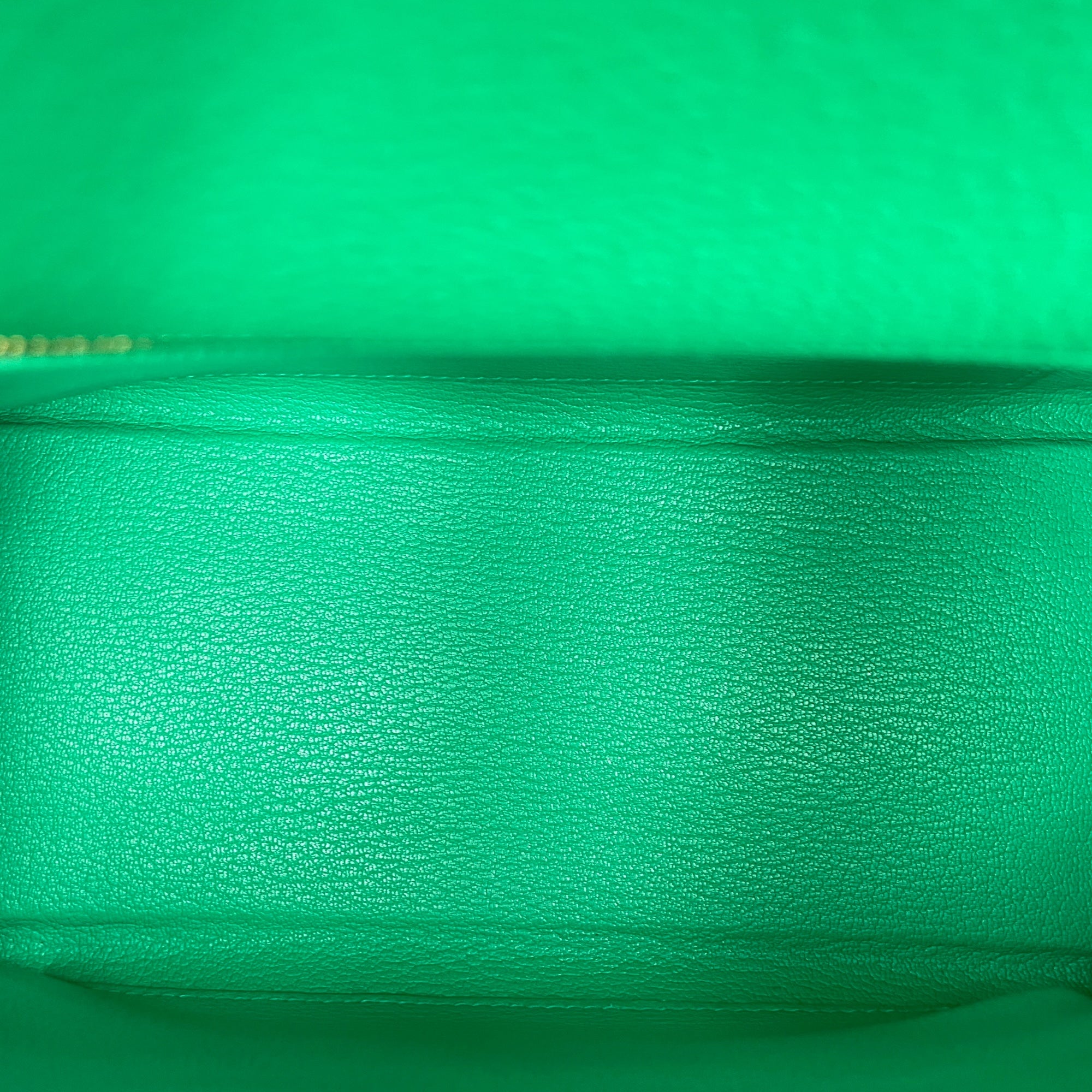 Kelly Touch 25 Menthe in Togo/Lizard Niloticus, Permabrass hardware