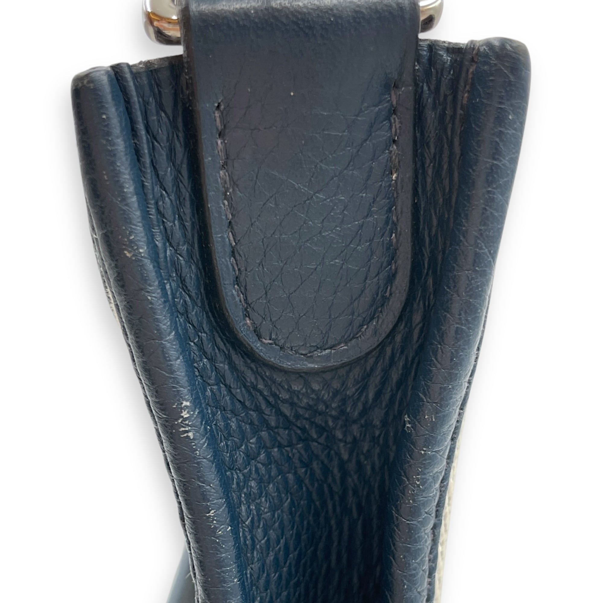 Evelyne II PM Blue Sapphire in Toile/Clemence, Palladium hardware