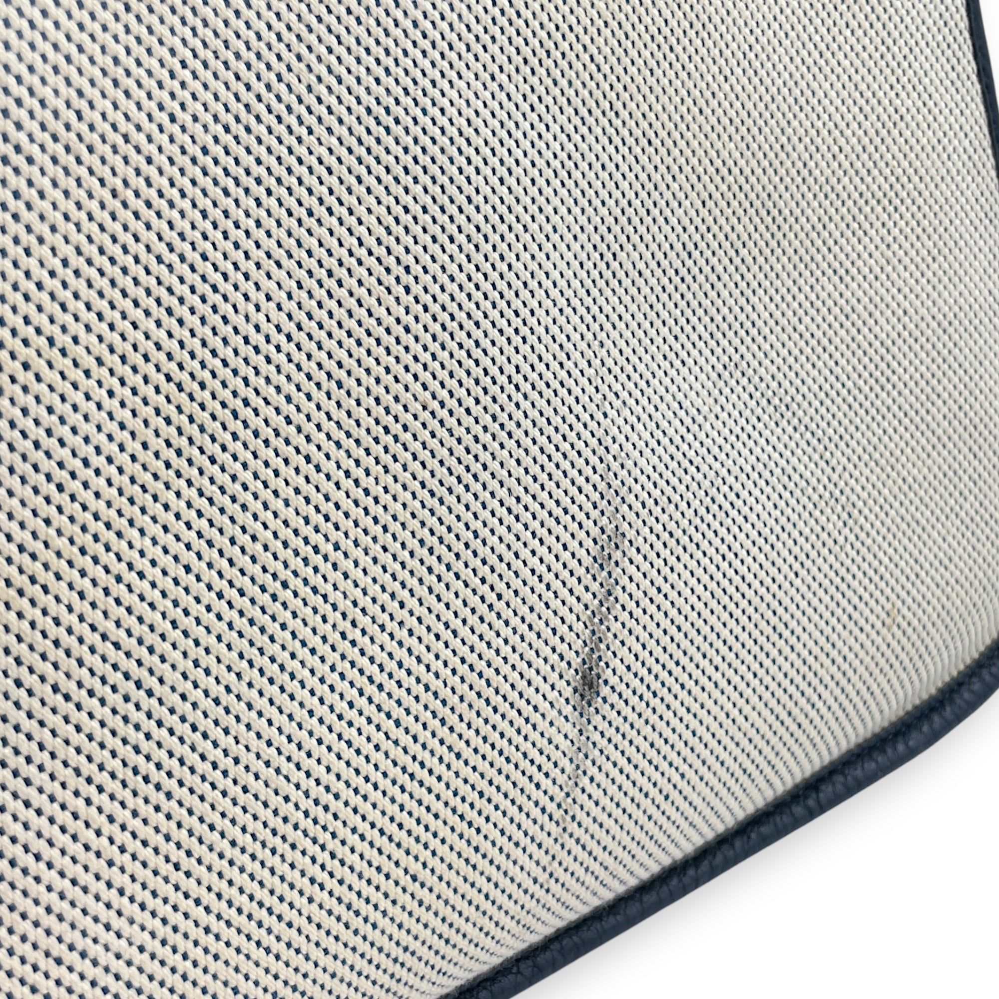 Evelyne II PM Blue Sapphire in Toile/Clemence, Palladium hardware