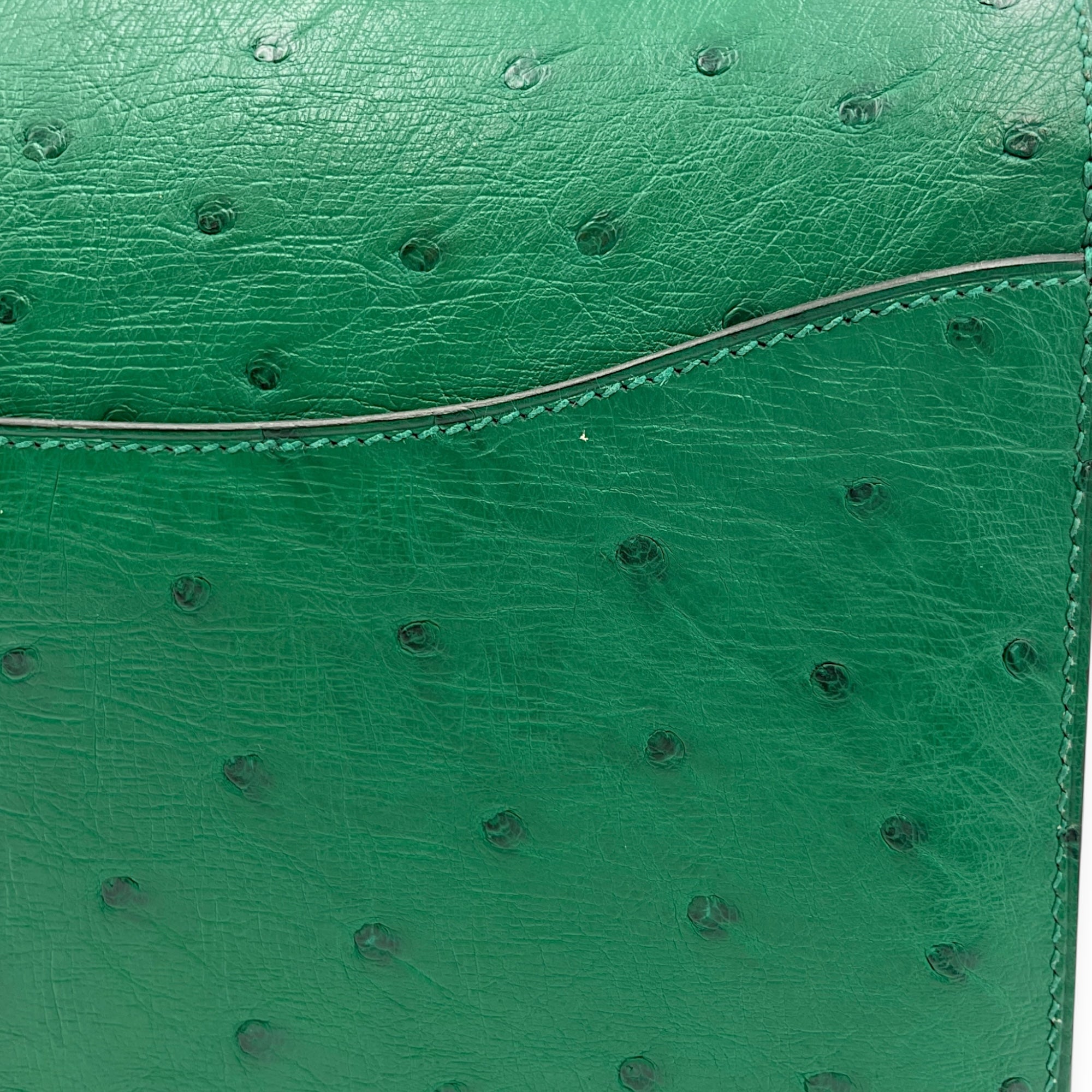 Constance 24 Vert Vertigo in Ostrich, Gold hardware