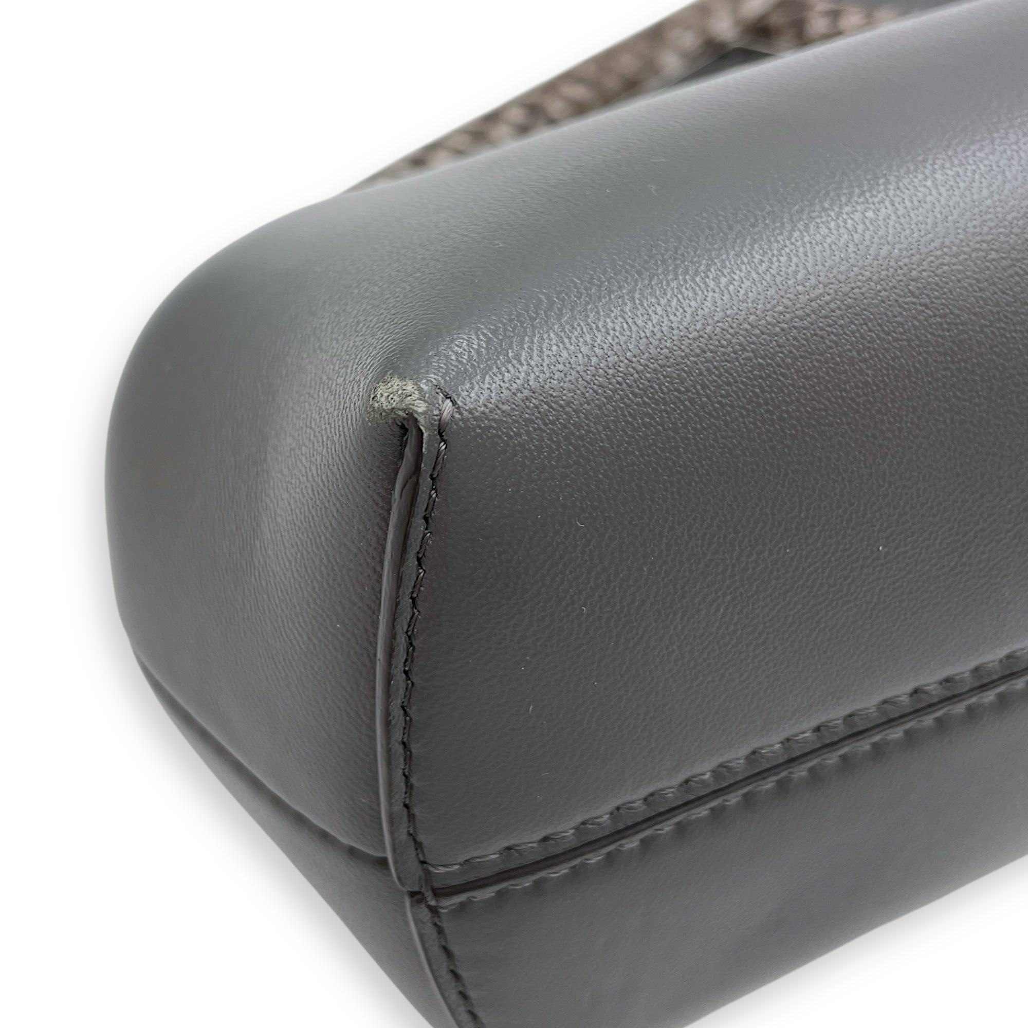 First Grey Shoulder Bag in Python Embossed Calfskin Silver hardware CL2506-13097 9
