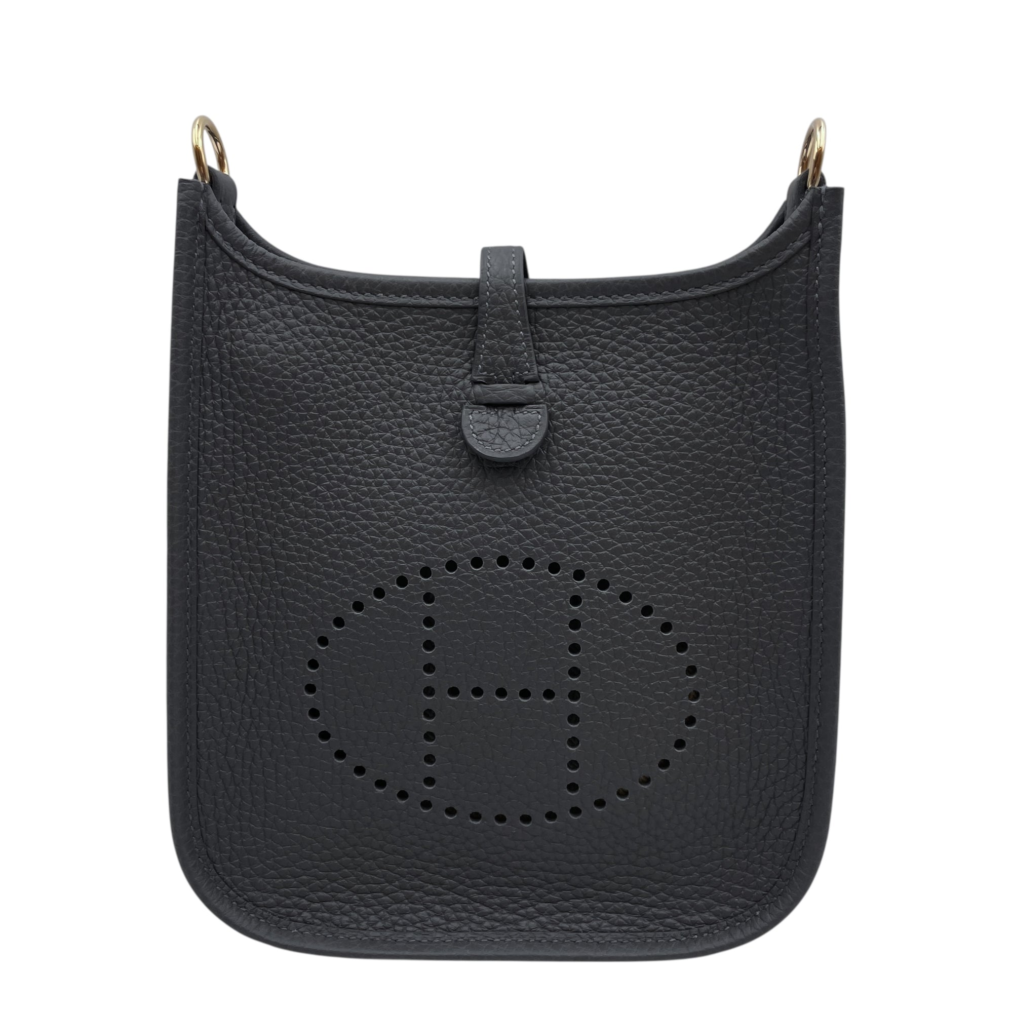 Evelyne (Short Strap) Mini Ardoise in Clemence, Permabrass hardware