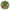 Passifolia , Gold hardware
