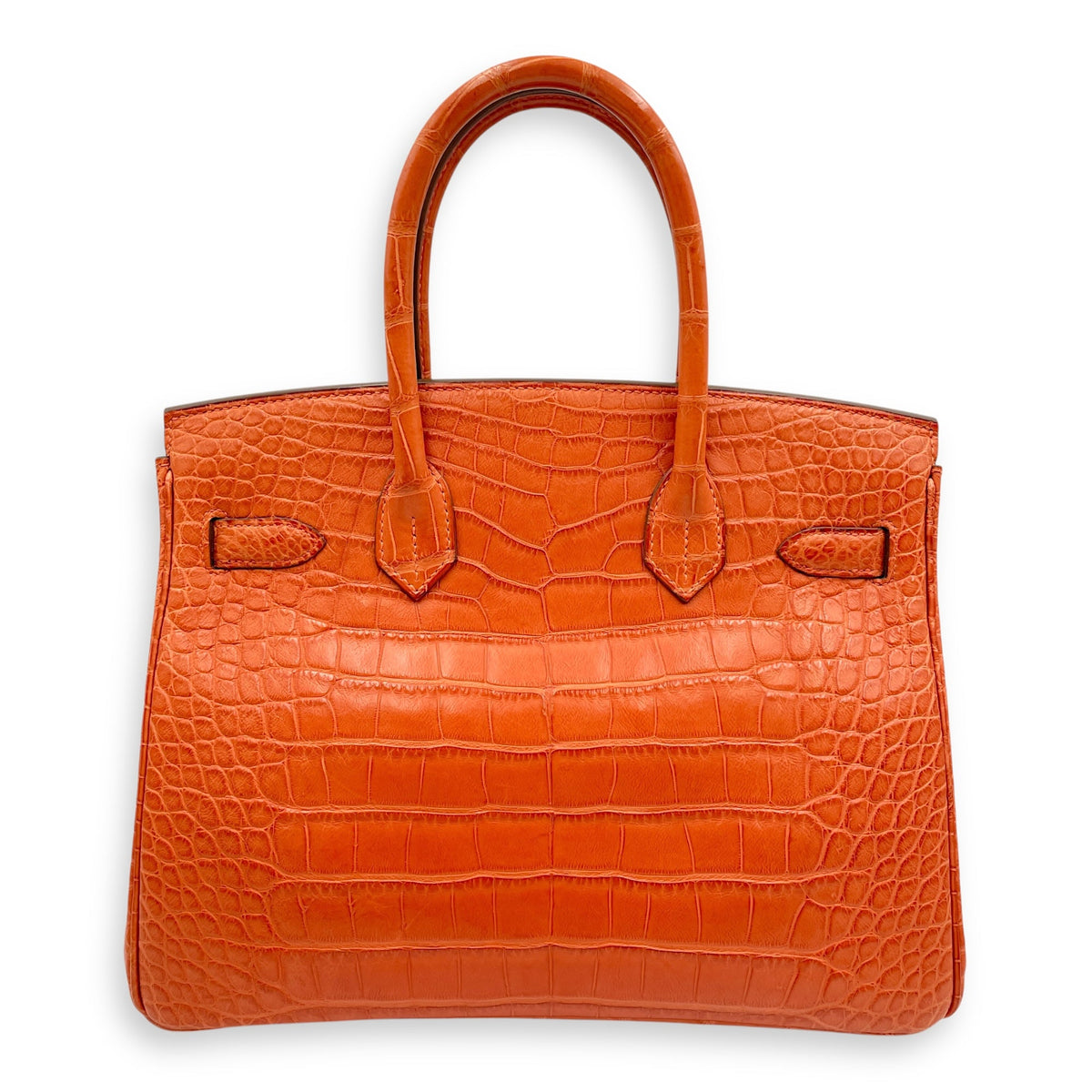Birkin 30 Sanguine in Matte Alligator Palladium hardware