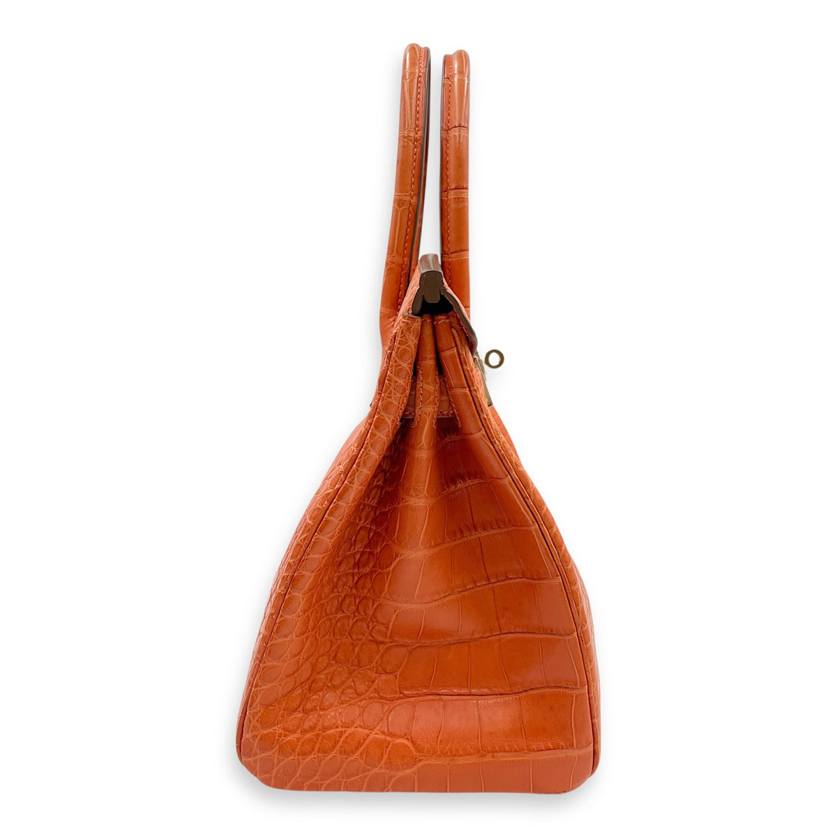 Birkin 30 Sanguine in Matte Alligator Palladium hardware