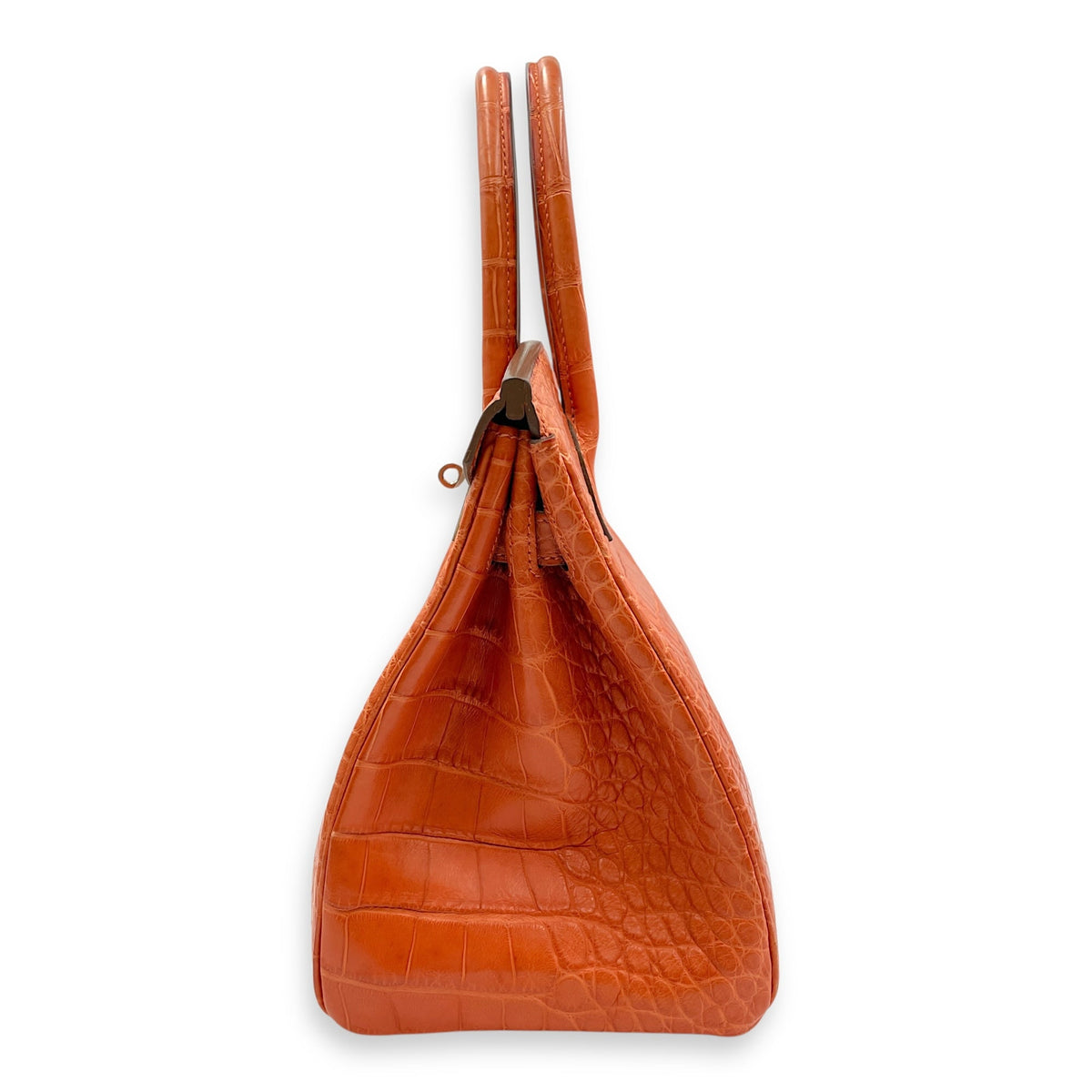 Birkin 30 Sanguine in Matte Alligator Palladium hardware