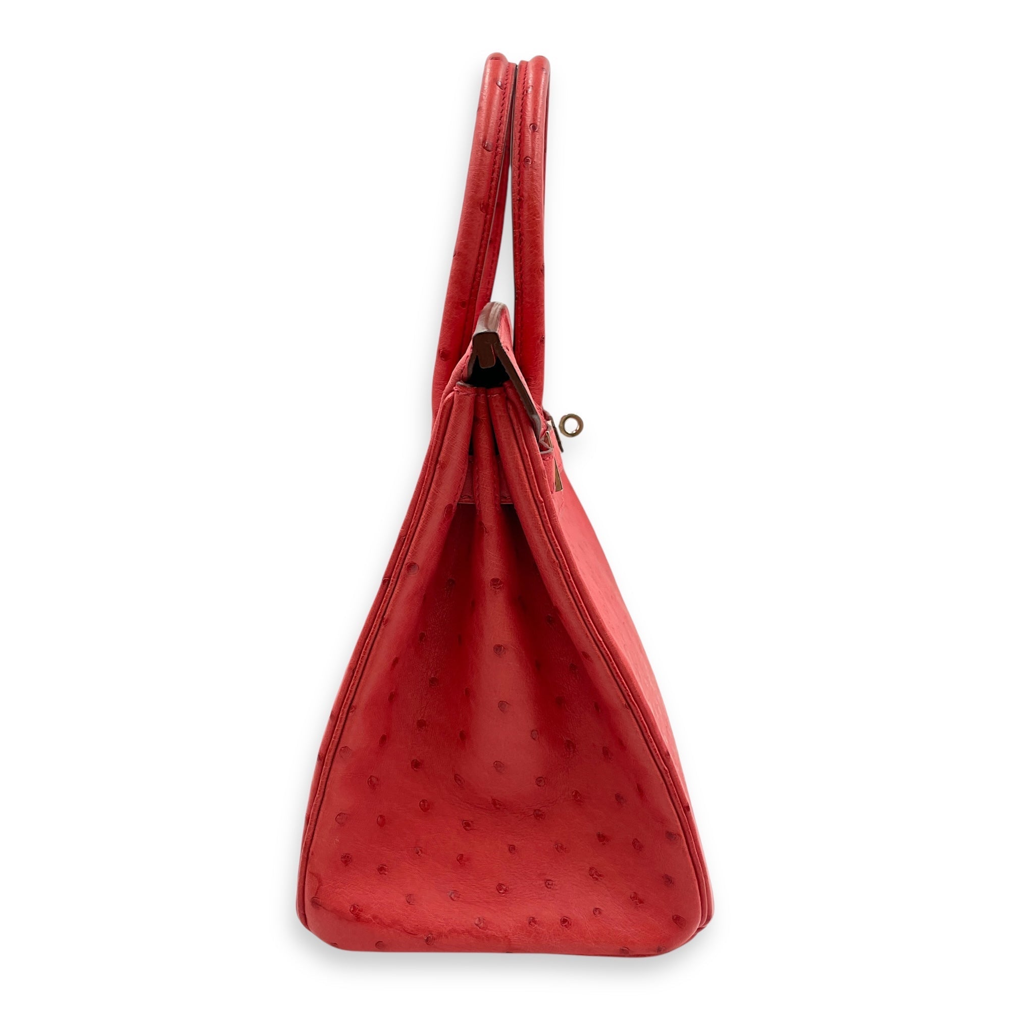 Birkin 30 Bougainvillier in Ostrich Palladium hardware CL2506-13218 3