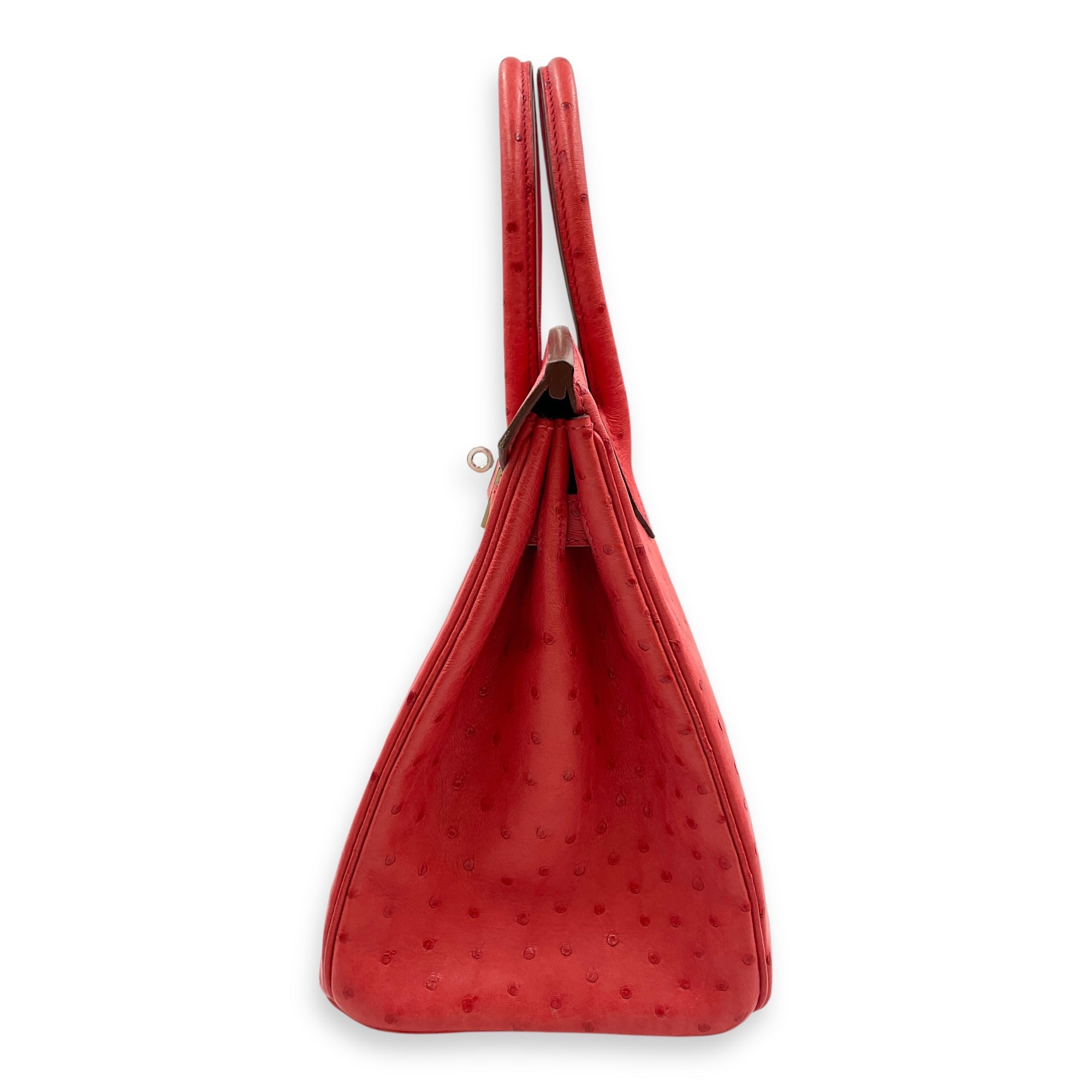 Birkin 30 Bougainvillier in Ostrich Palladium hardware CL2506-13218 4