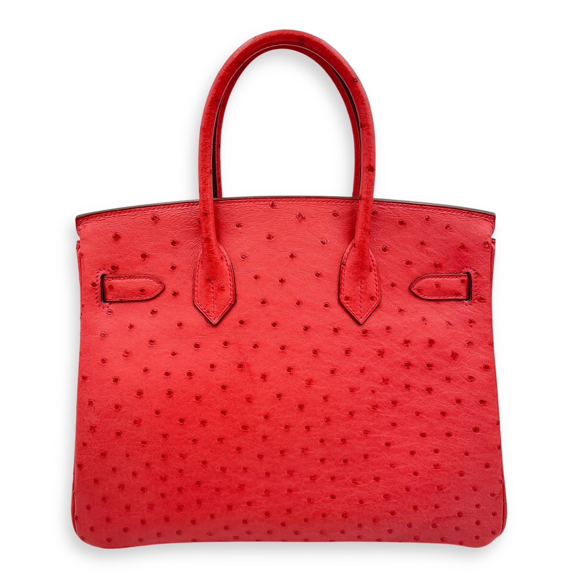 Birkin 30 Bougainvillier in Ostrich Palladium hardware CL2506-13218 2