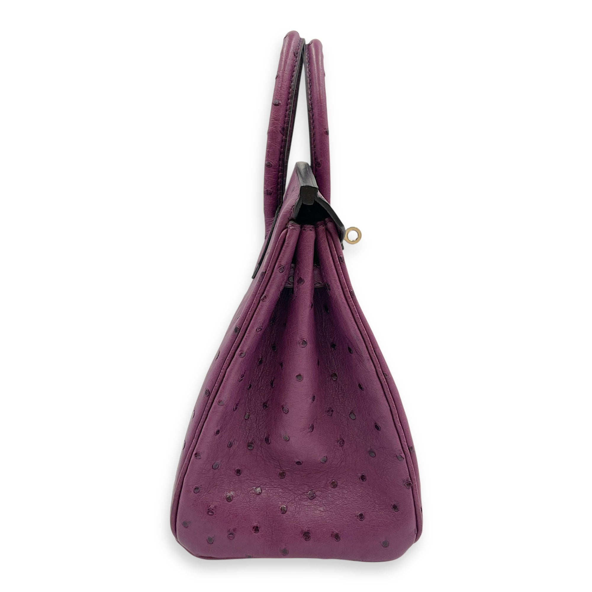 Birkin 25 Violine in Ostrich, Palladium hardware