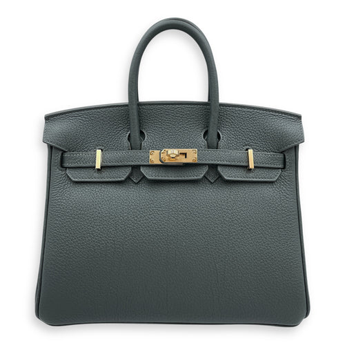 Birkin 25 Vert Mangrove in Togo, Permabrass hardware