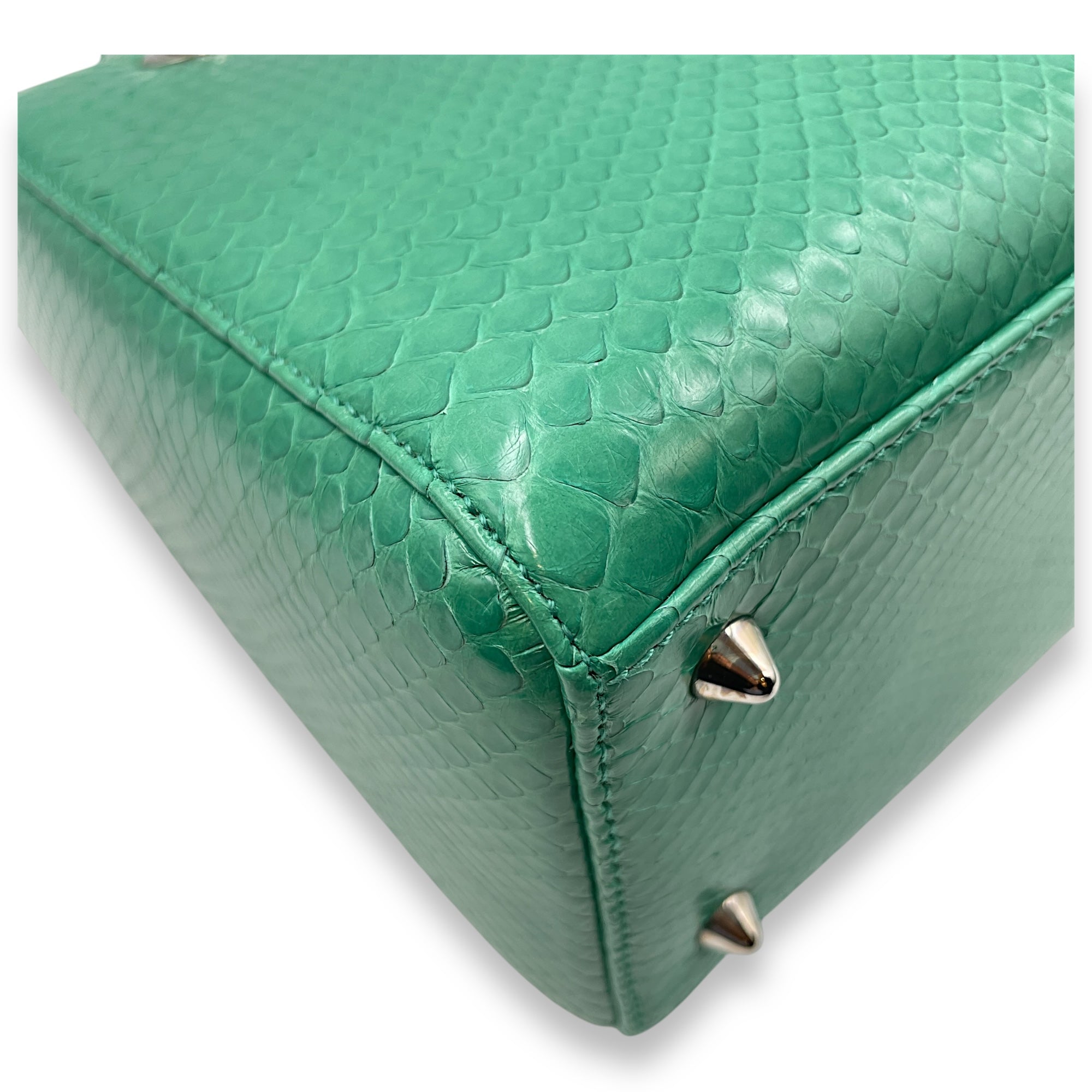 Lady Dior Medium Green Top Handle Bag in Python, Silver hardware