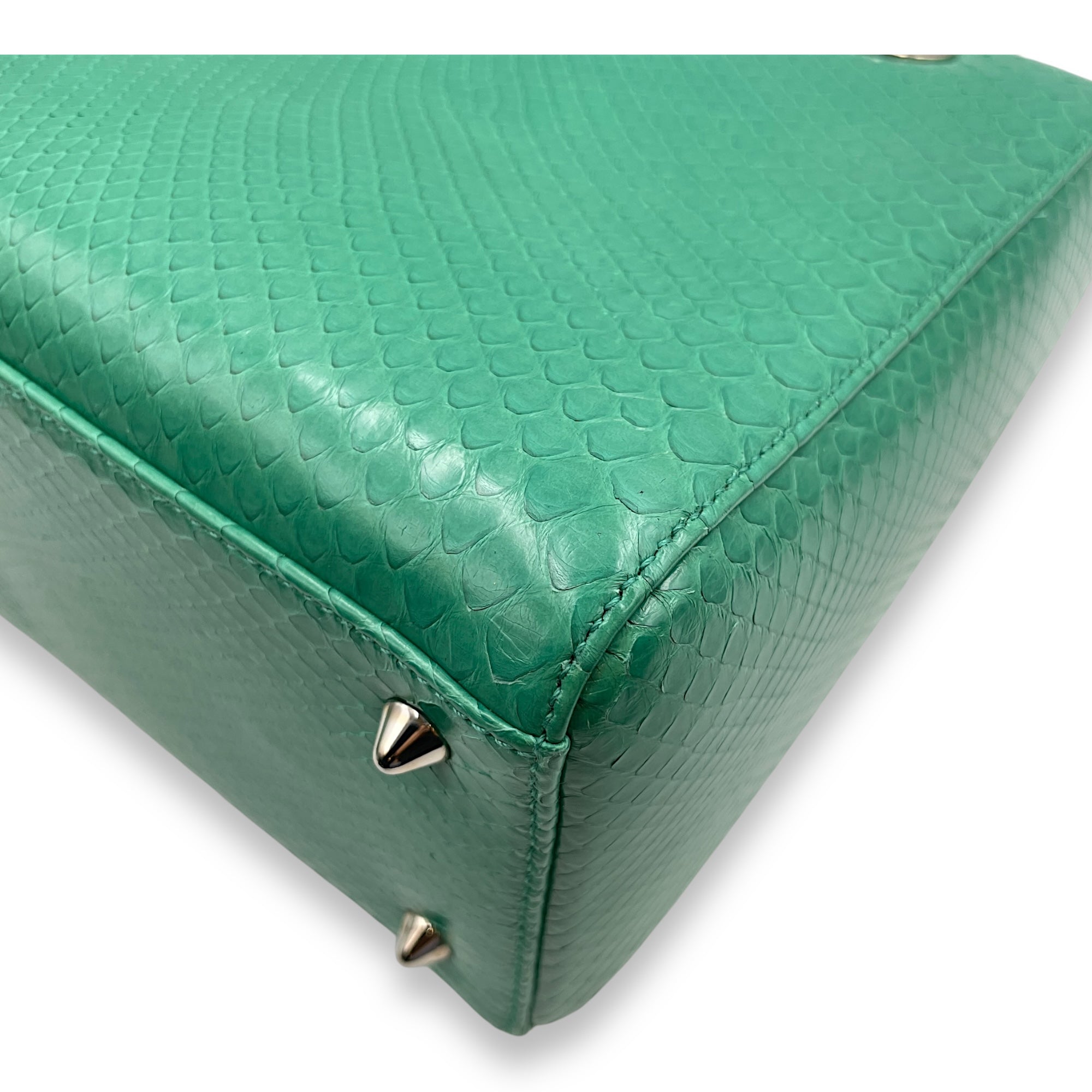 Lady Dior Medium Green Top Handle Bag in Python, Silver hardware