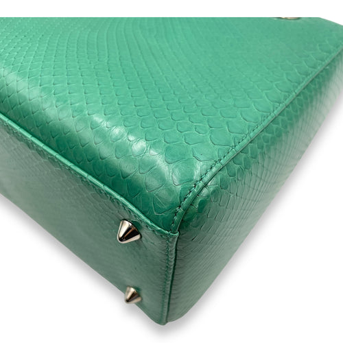 Lady Dior Medium Green Top Handle Bag in Python, Silver hardware