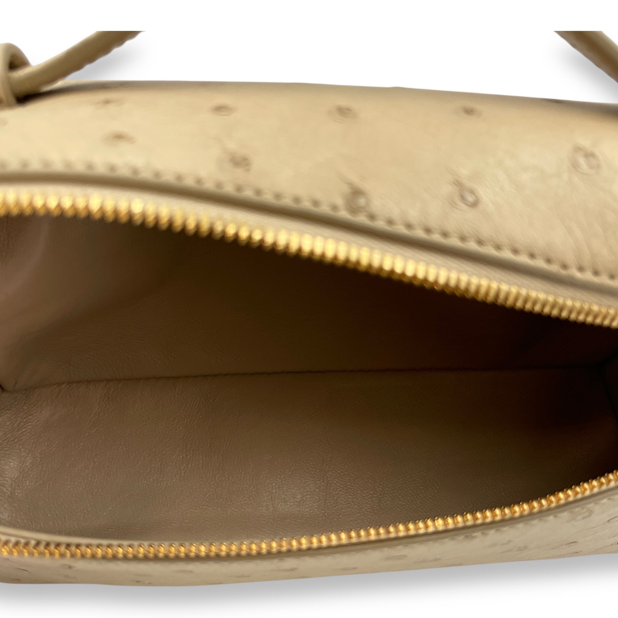 Extra Pocket 19 Beige Top Handle Bag in Ostrich, Gold hardware