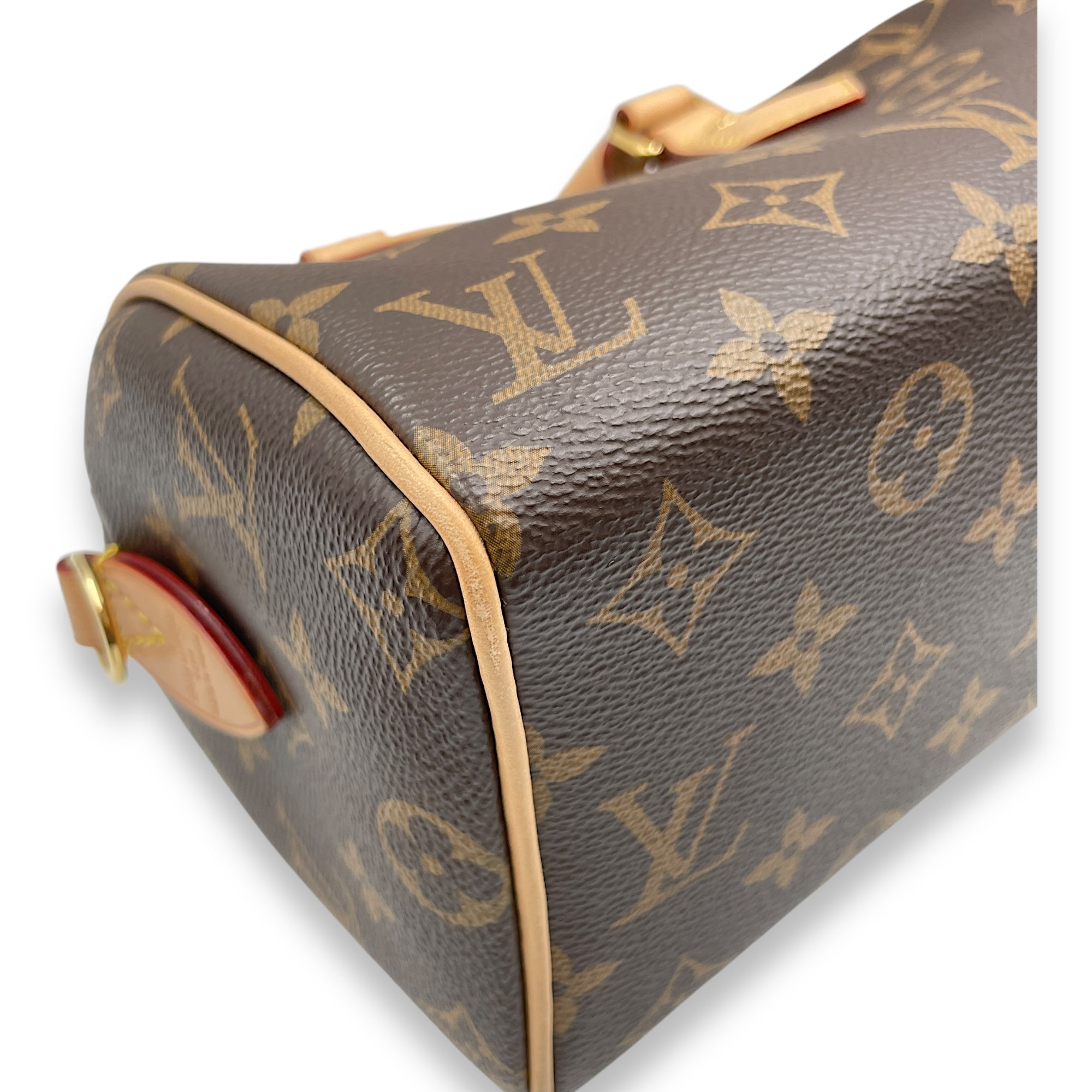 Monogram Speedy 20 Brown Monogram Crossbody Bag in Coated Canvas, Gold hardware
