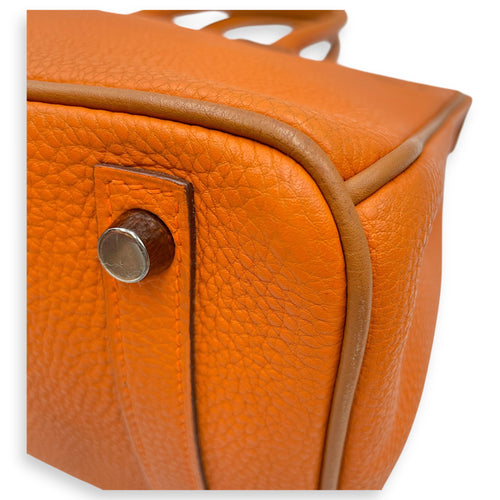 Birkin 30 Potiron in Togo, Ruthenium hardware