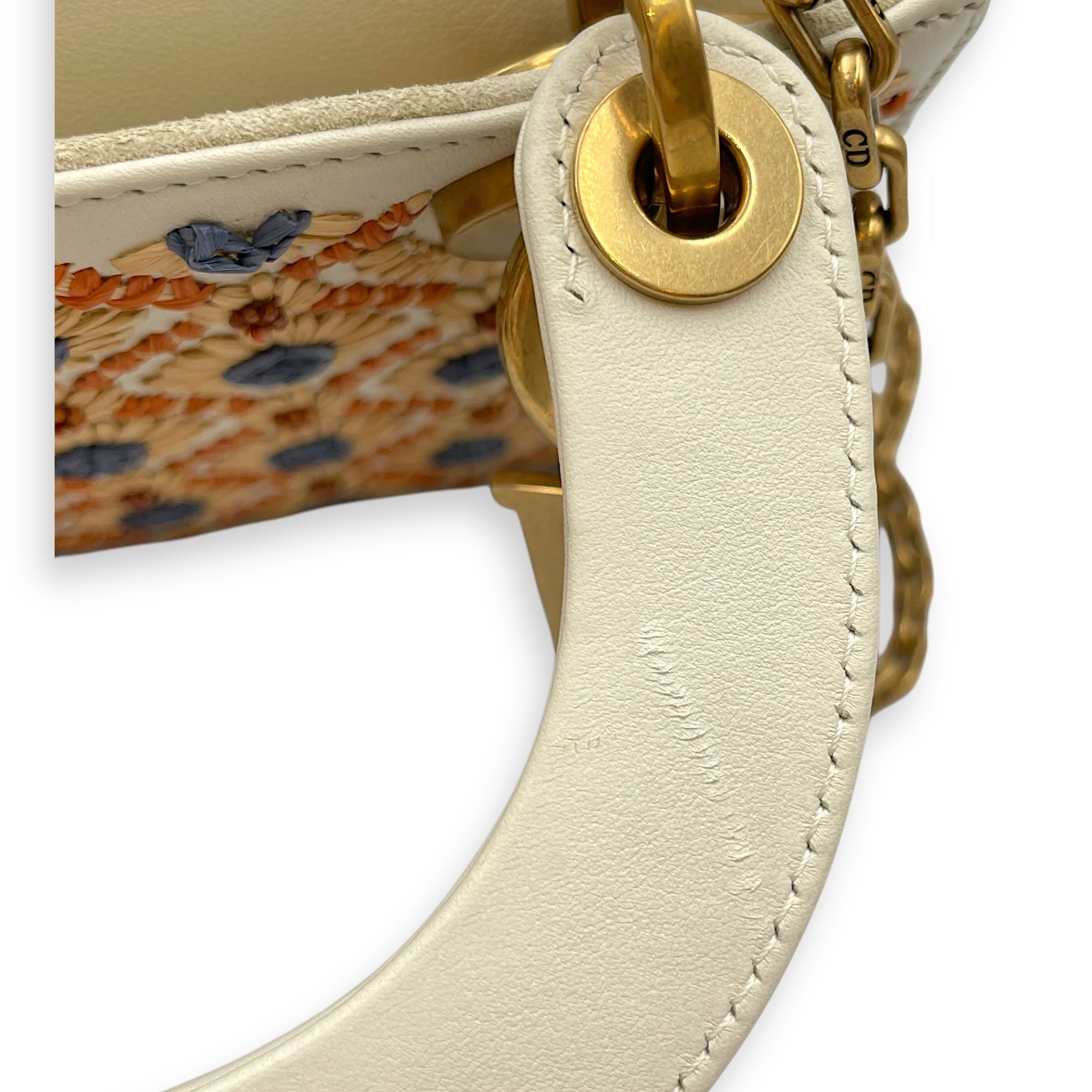 Lady Dior Mini Multi-Color Top Handle Bag in Calfskin, Brushed Gold hardware