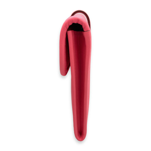 Jige Duo Rose Azalee Clutch in Swift