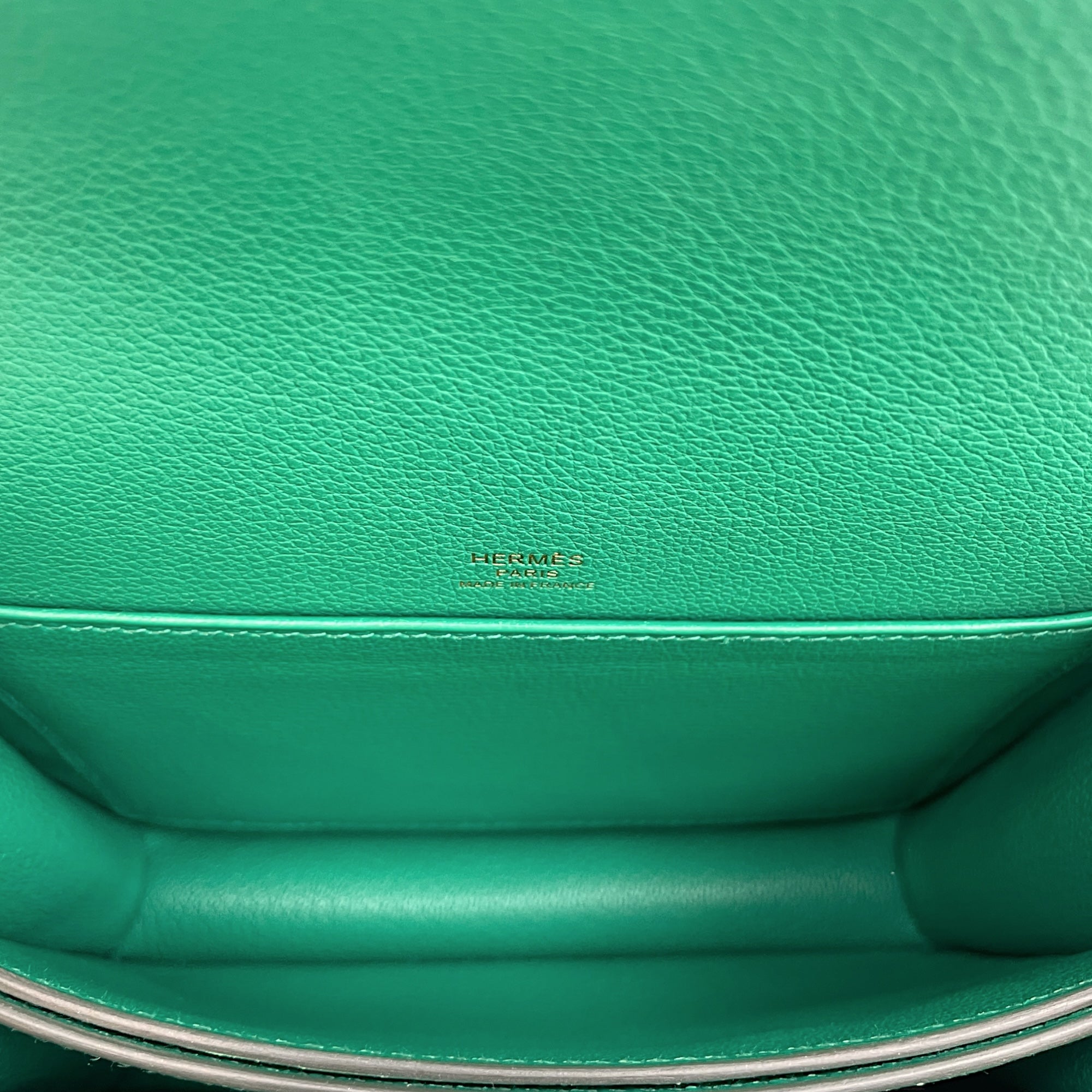 Roulis Mini Vert Vertigo in Evercolor, Gold hardware