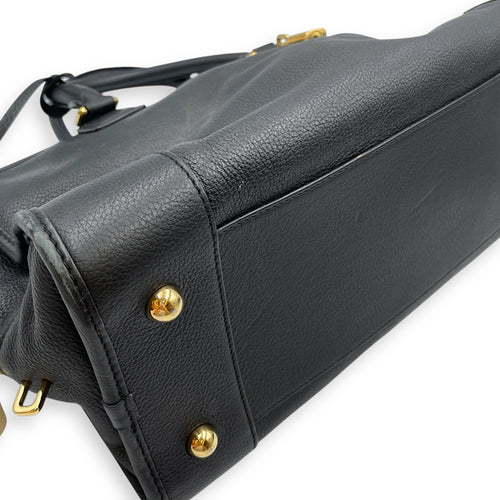 Amazona Black Top Handle Bag in Calfskin, Gold hardware