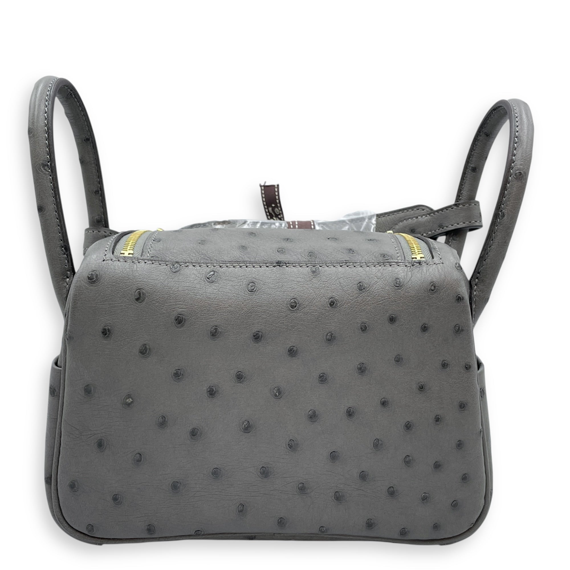 Lindy II Mini Gris Meyer in Ostrich, Gold hardware