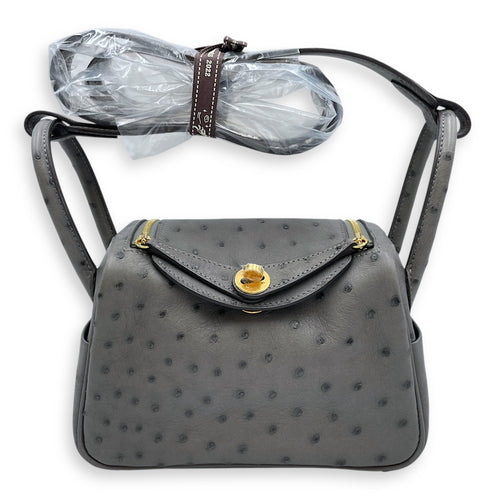 Lindy II Mini Gris Meyer in Ostrich, Gold hardware