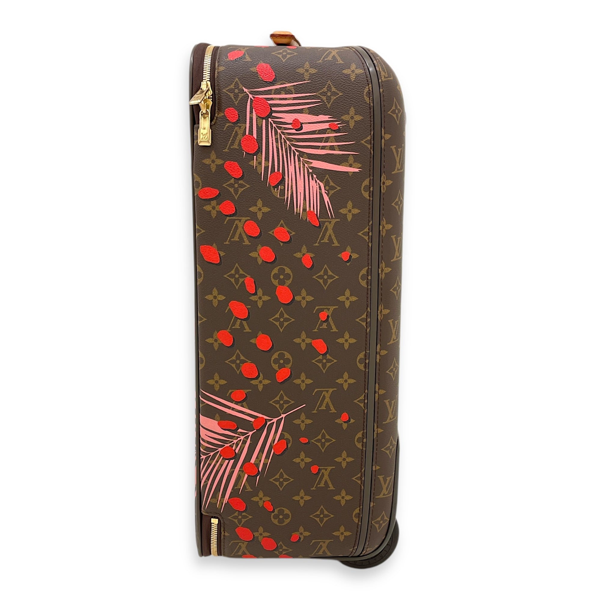 Monogram Jungle Dots Brown Luggage in Canvas, Gold hardware