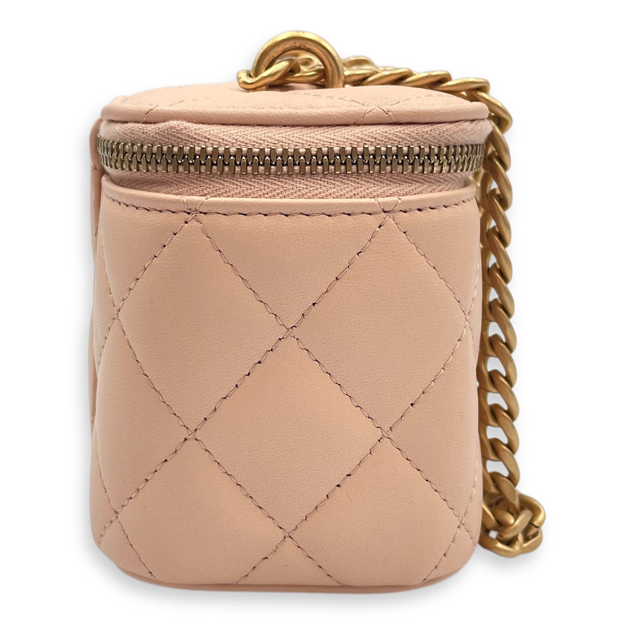 Camelia Crush Mini Beige Vanity Bag in Lambskin, Brushed Gold hardware