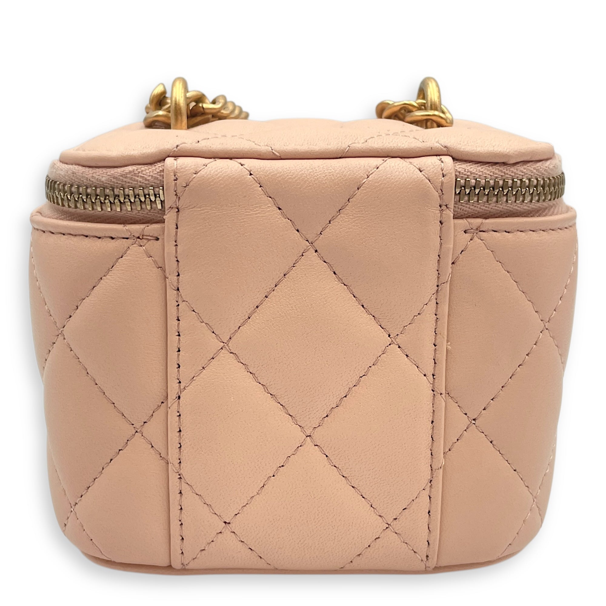 Camelia Crush Mini Beige Vanity Bag in Lambskin, Brushed Gold hardware