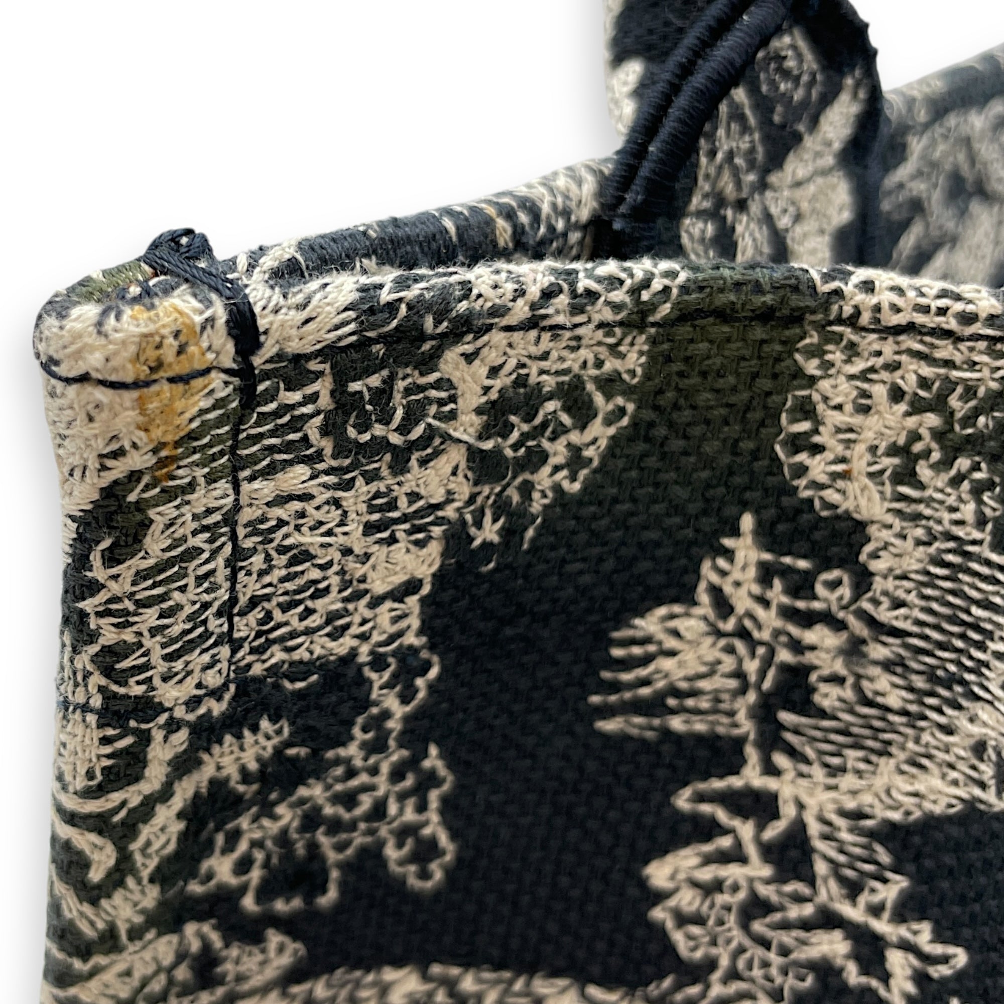 Embroidered Small Blue Book Tote in Canvas