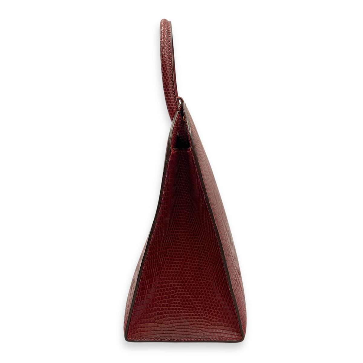 Dalvy 25 Rouge in Lizard Varanus Niloticus Gold hardware