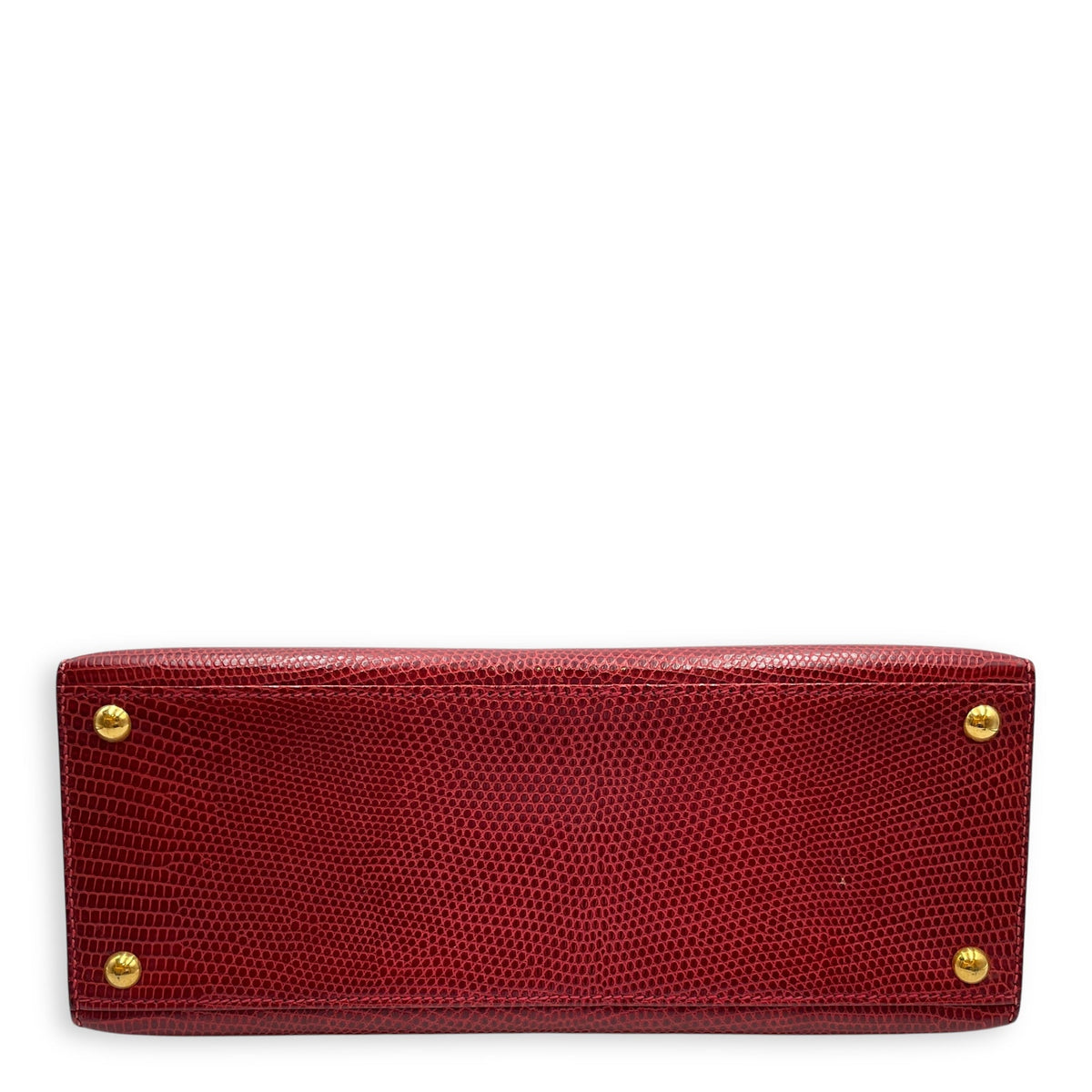 Dalvy 25 Rouge in Lizard Varanus Niloticus Gold hardware