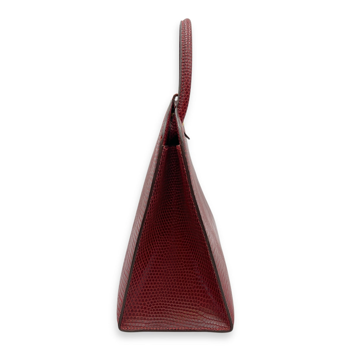 Dalvy 25 Rouge in Lizard Varanus Niloticus Gold hardware