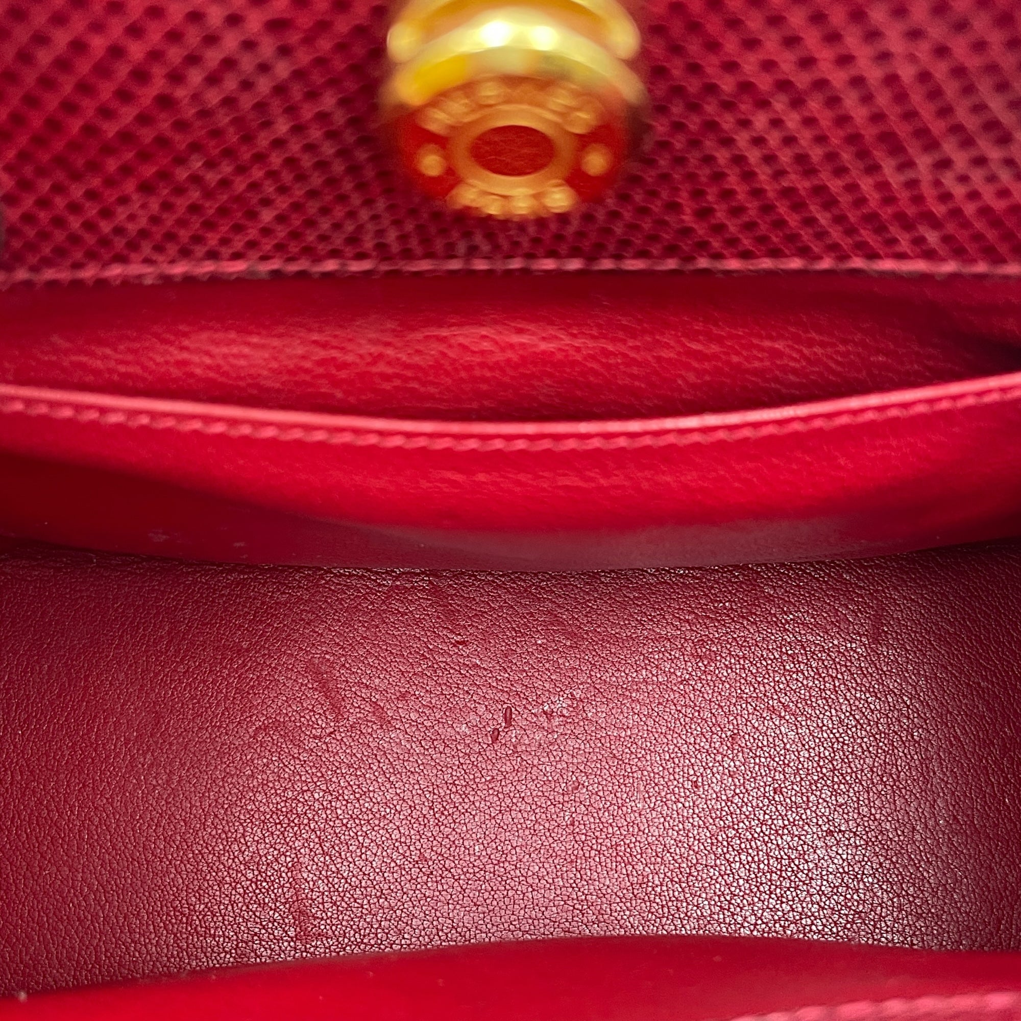 Dalvy 25 Rouge in Lizard Varanus Niloticus, Gold hardware