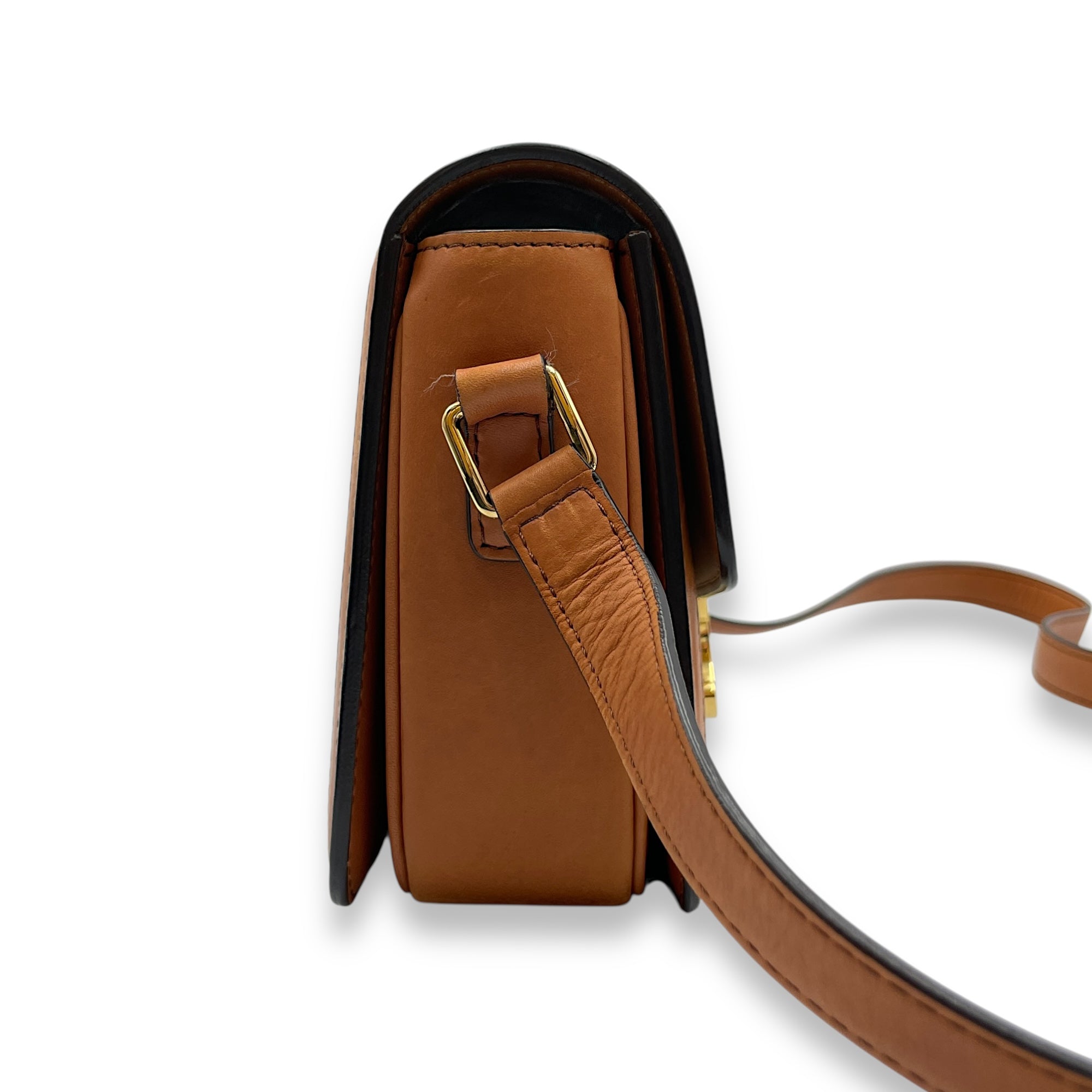 Triomphe Teen Beige Crossbody Bag in Canvas, Gold hardware