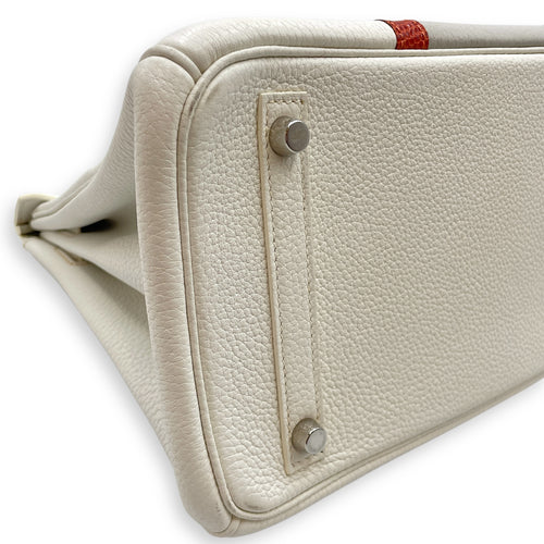 Club Birkin 30 Blanc in Clemence/Lizard, Palladium hardware