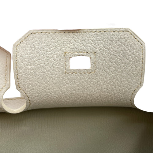 Club Birkin 30 Blanc in Clemence/Lizard, Palladium hardware