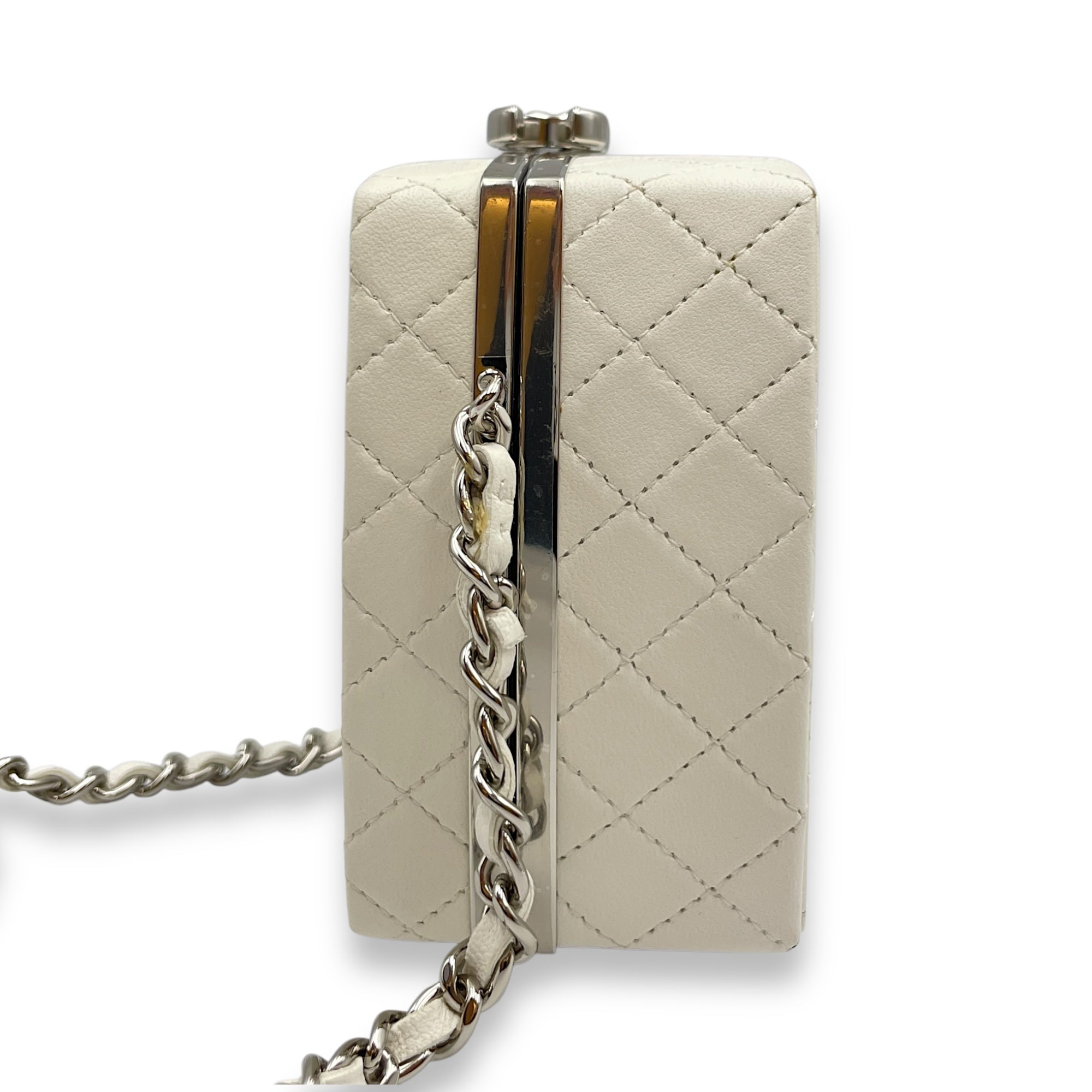 Plexiglass Beauty Box Silver Hardware Vanity Bag in Goat Leather