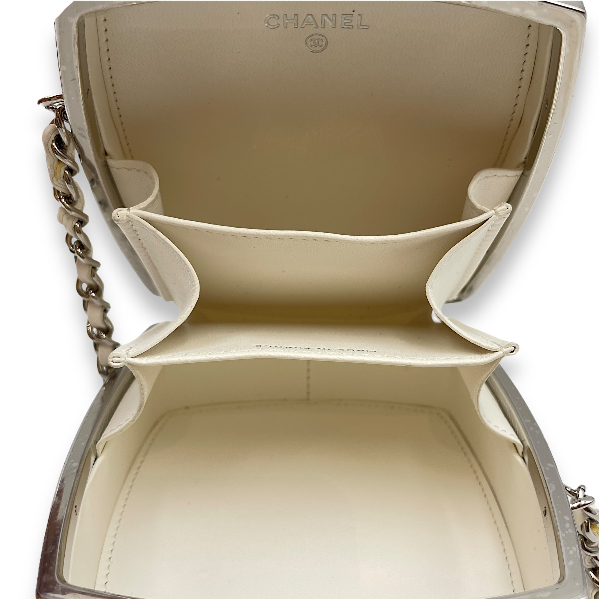 Plexiglass Beauty Box Silver Hardware Vanity Bag in Goat Leather