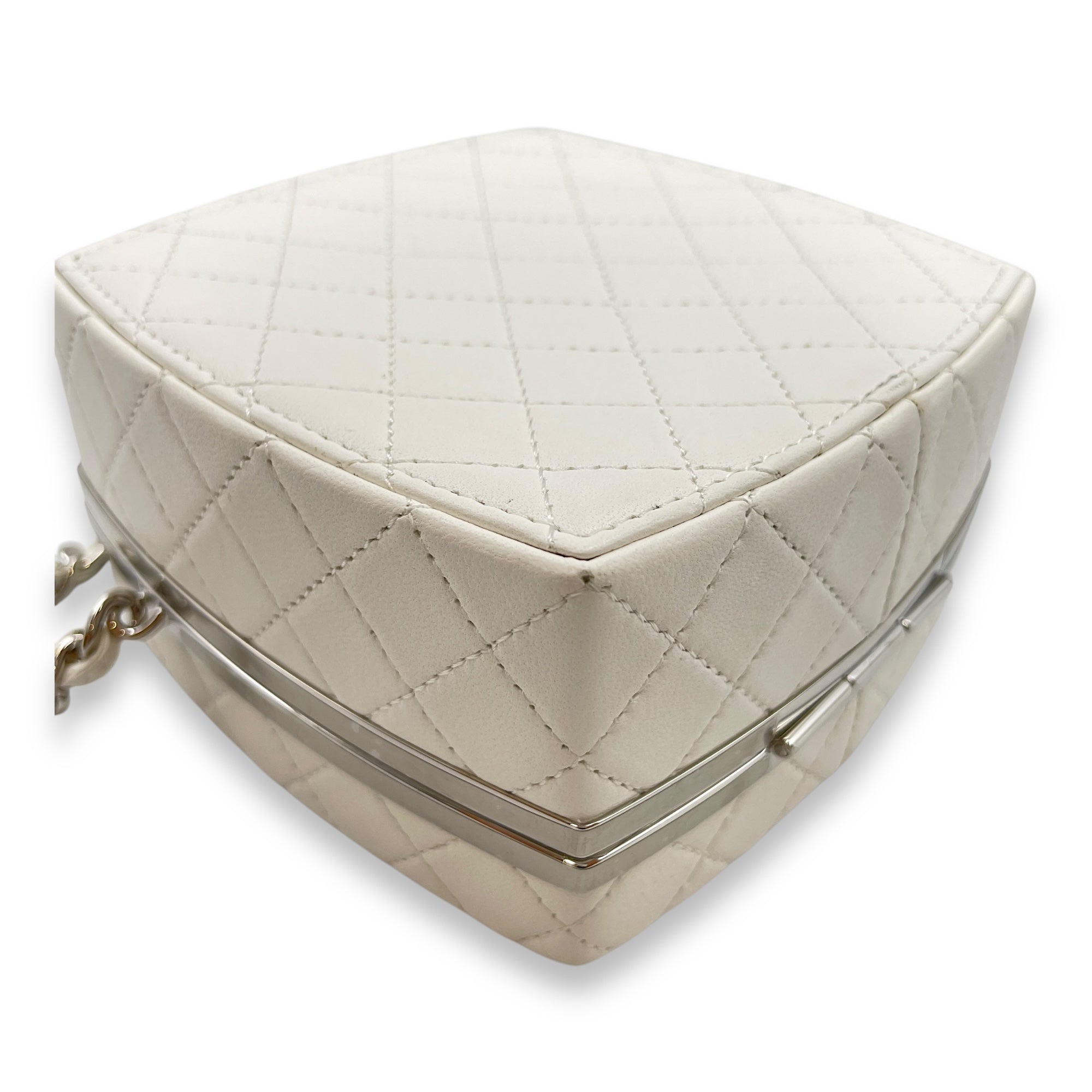 Plexiglass Beauty Box Silver Hardware Vanity Bag in Goat Leather
